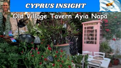 A Taste of Cyprus Tradition: Village Taverna Experience
